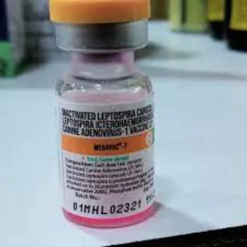 Veterinary Vaccine 